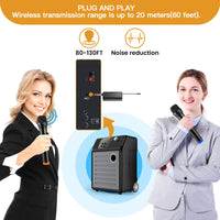 FerBuee Dual Wireless Dynamic Microphone System – 6.35 mm Receiver