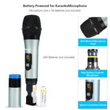 Wireless Microphones with Echo, Easy-to-Use, Auto Connect, 160 ft Range, 1/8''＆1/4''Output, UHF Dual Channel Cordless Handheld Dynamic Mics System for Church,Wedding, Karaoke, Speech, Singing