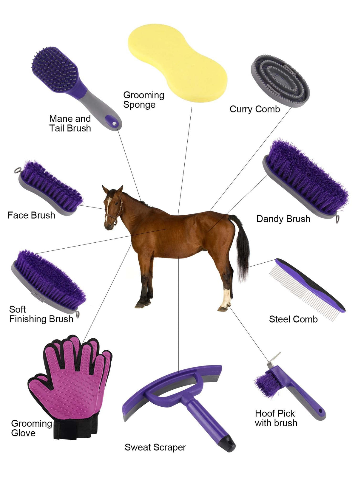 Horse Grooming Kit（10-Piece），Purple Horse Brushes for Grooming,Storage Bag,Horse Sweat Scraper,Mane Comb,Horse Grooming Gloves,Horse Gifts for Girls (Purple),1 count