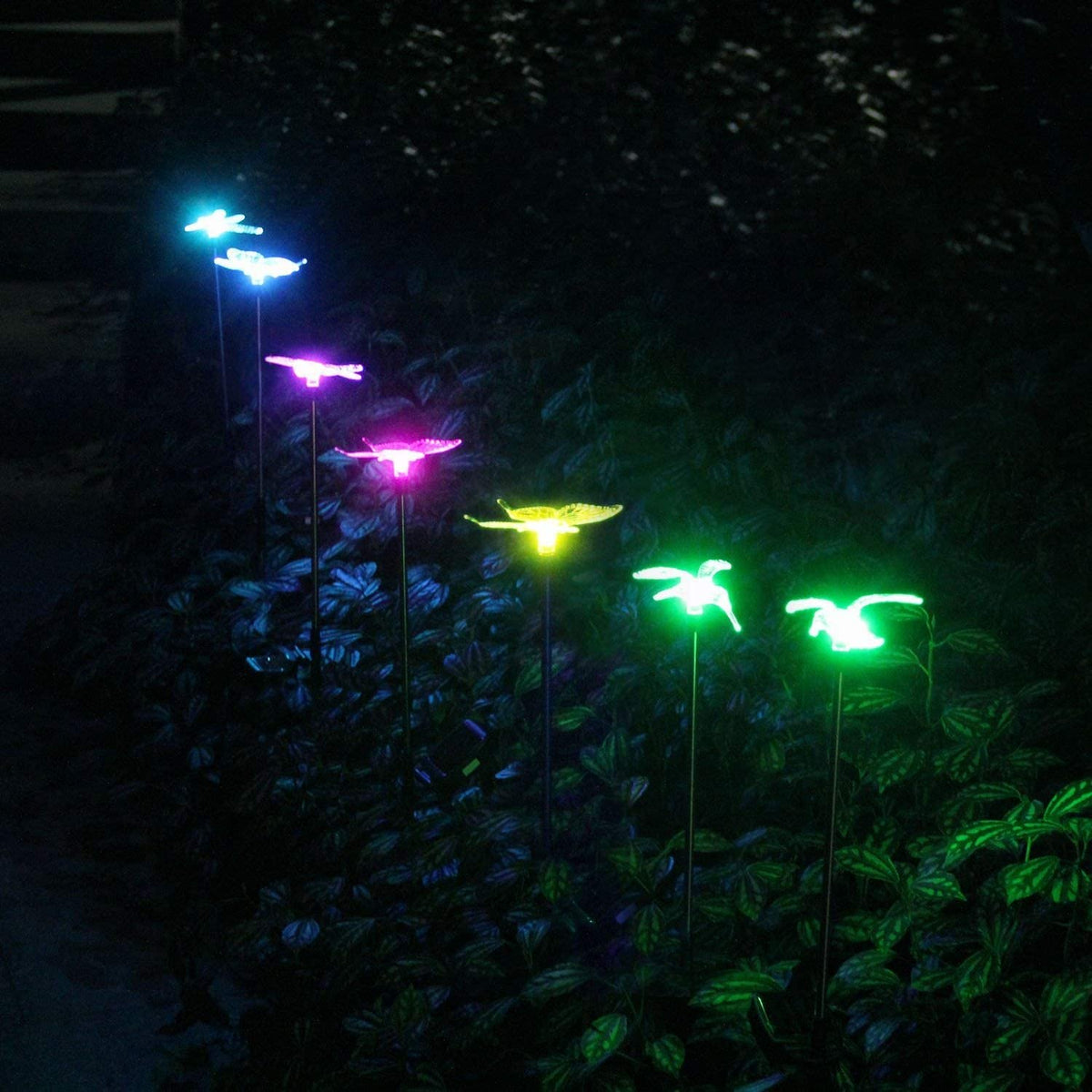 Garden butterfly Solar Lights