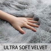 Area Rug Super Soft Indoor Modern Shag Shaggy Silky Smooth Rugs Fur Fluffy Anti-Skid Carpet Living Room Dining Room Bedroom Floor Mat