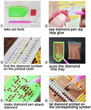 2 Pack DIY 5D Diamond Painting Kit