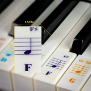 Colour Piano Stickers for 88/76/61/54/49/37 Key Keyboards – Transparent and Removable