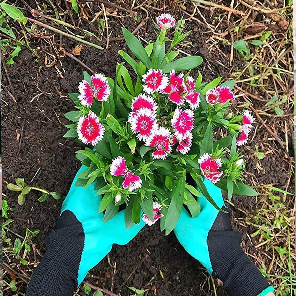 Garden Gloves with Claws
