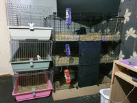 16-Panel Modular Wire Small-Animal Pen – Black