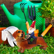 Gnome & Dachshund Garden Statue