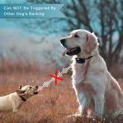 Rechargeable Anti-Bark Collar with Beep & Vibration – 7 Sensitivity Levels