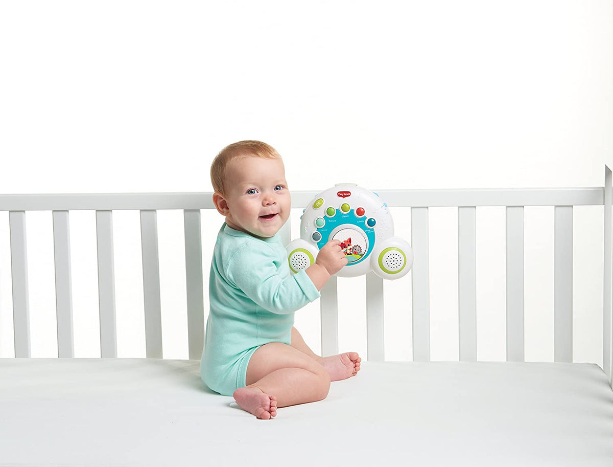 Tiny Love Soothe & Groove Mobile Meadow Days