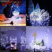 Led String Lights Battery Powered (2 Pack)