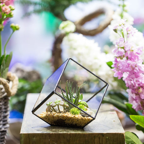Geometric Decorative Terrarium Cube Planter