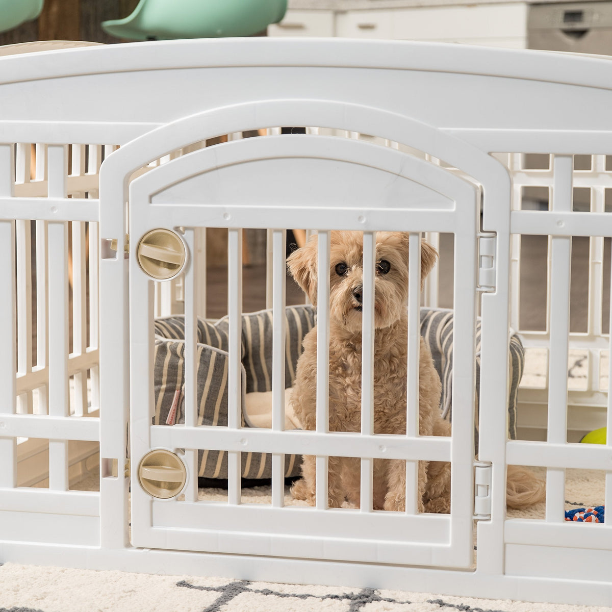 24" Exercise 4-Panel Pet Playpen with Door, Dog Playpen, Puppy Playpen, for Small and Medium Dogs, Keep Pets Secure, Easy Assemble, Fold It Down, Easy Storing, Customizable, White