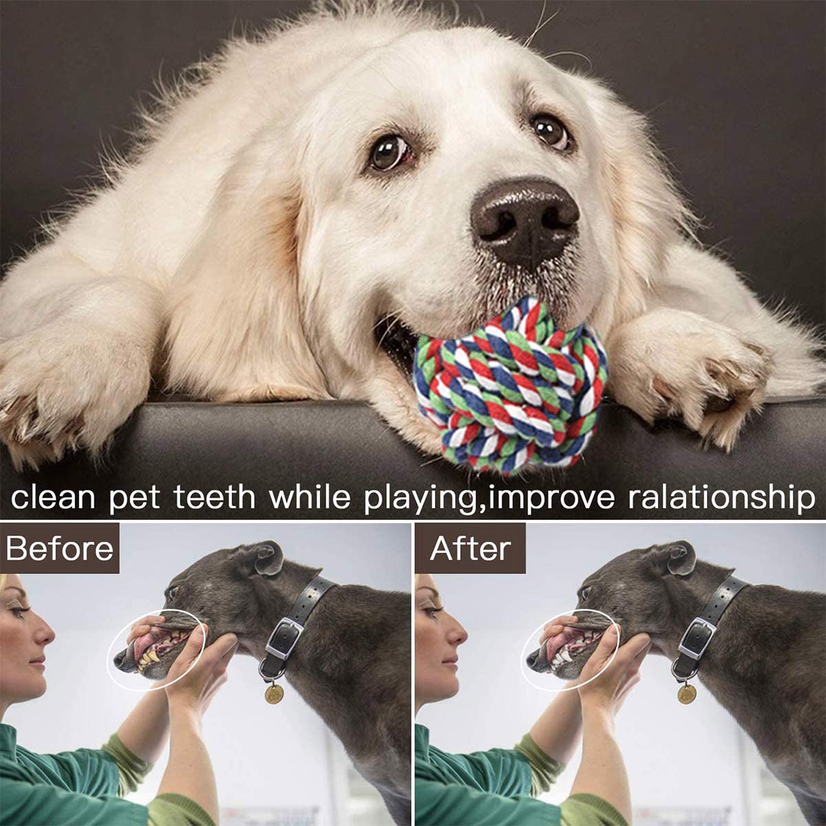 Dog Toy Gift