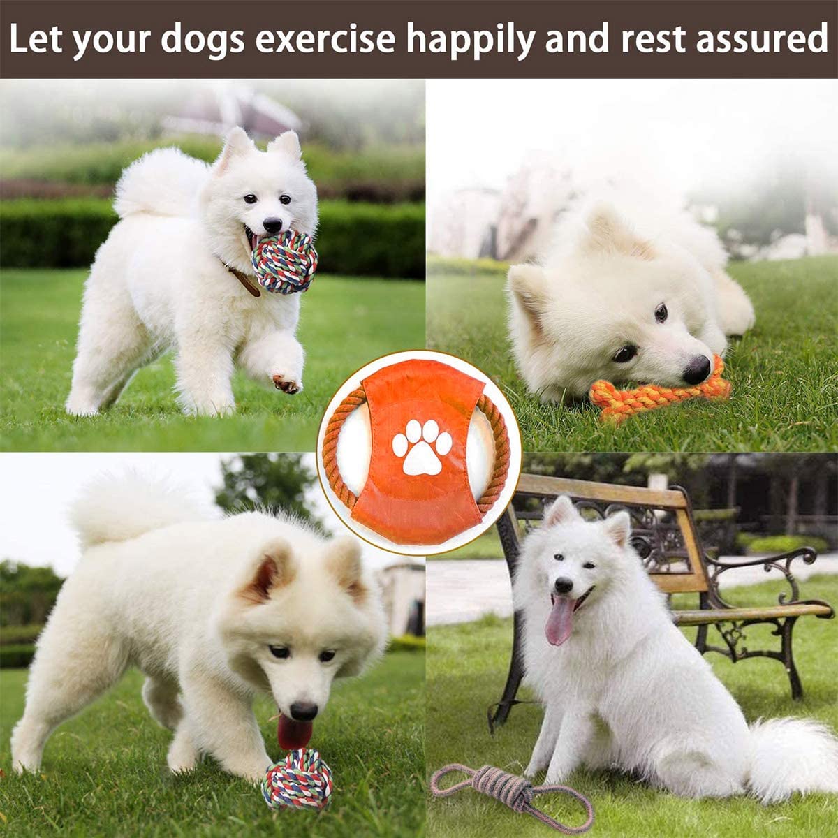 Dog Toy Gift