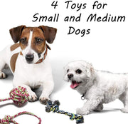 Dog Toy Gift