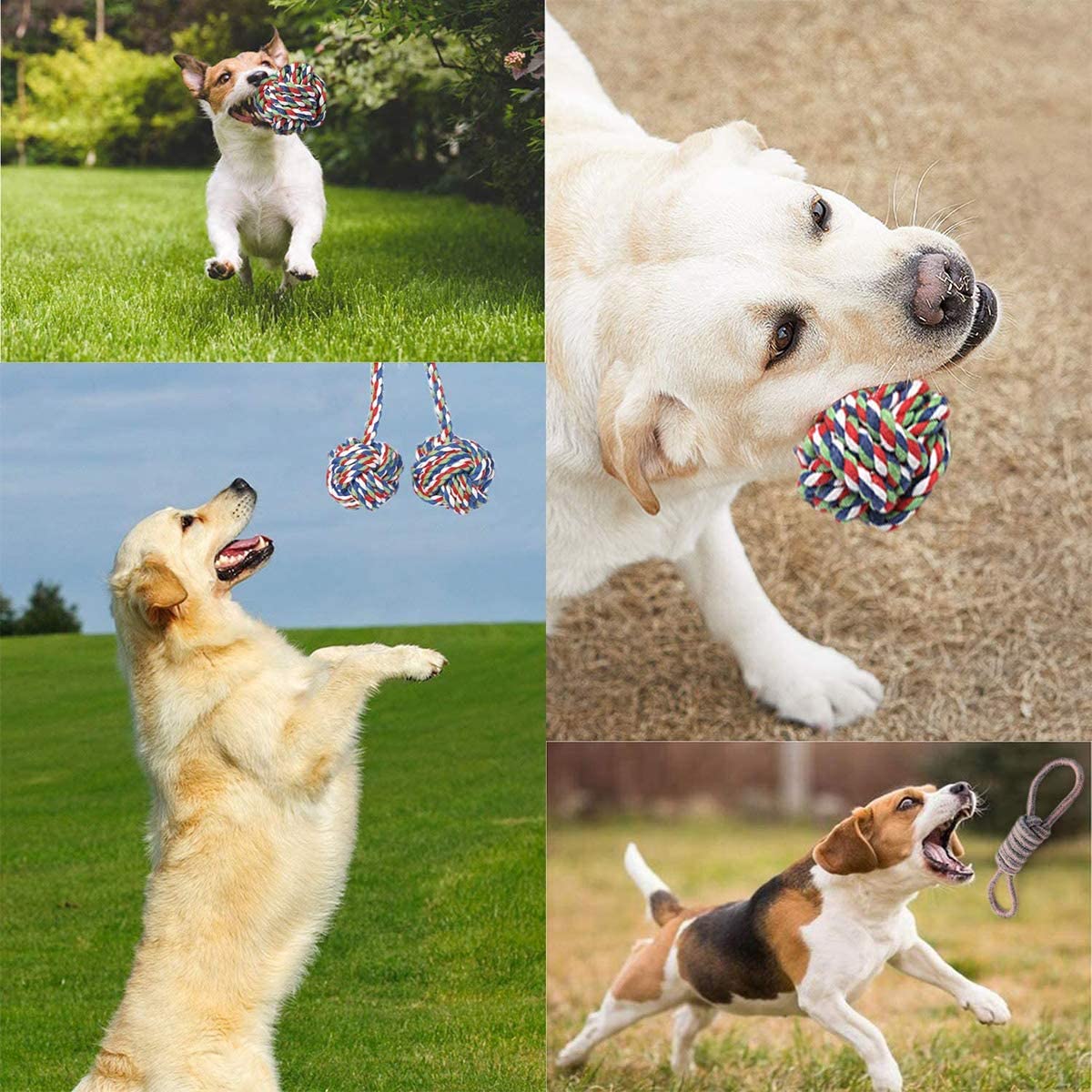 Dog Toy Gift
