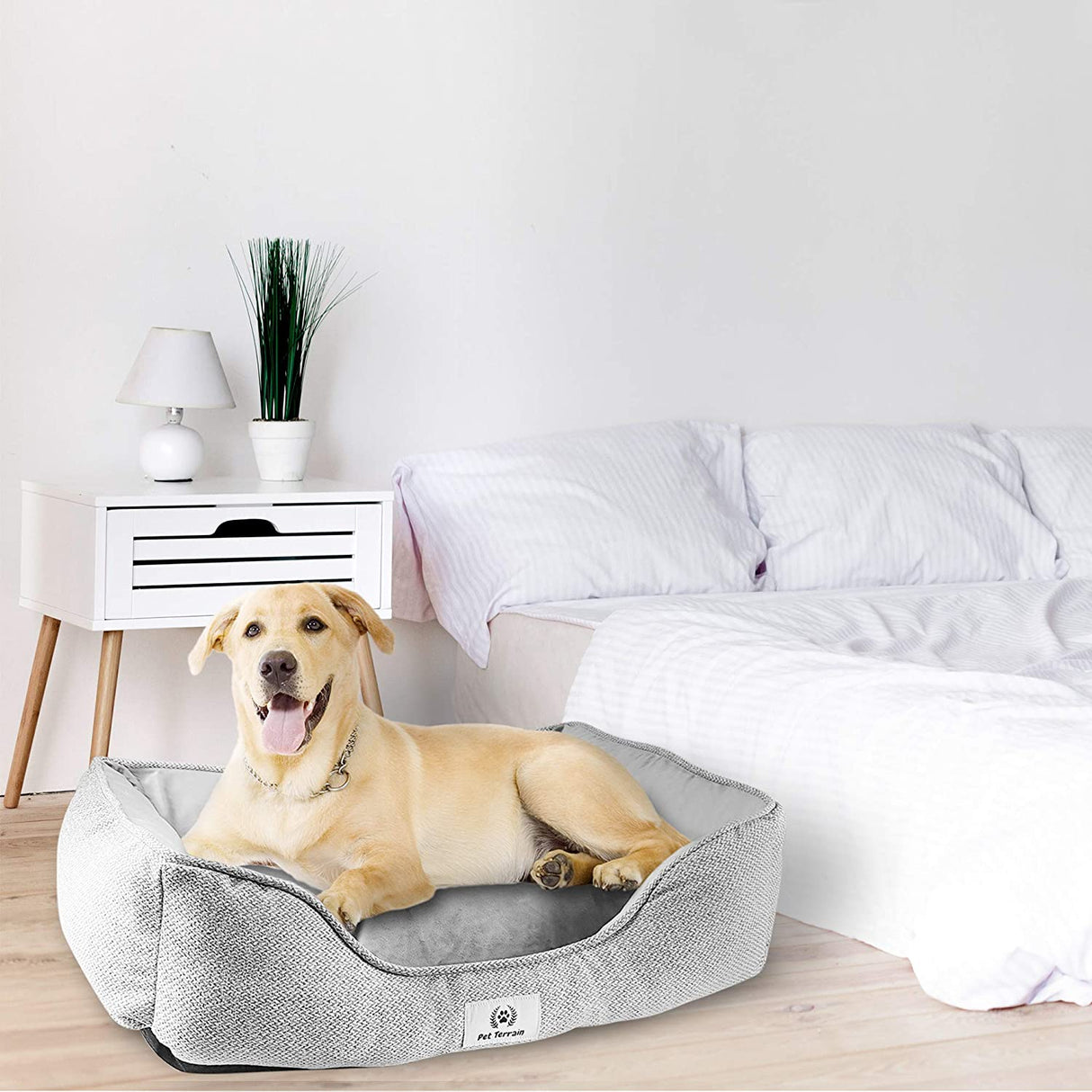 Luxury Dog Bed