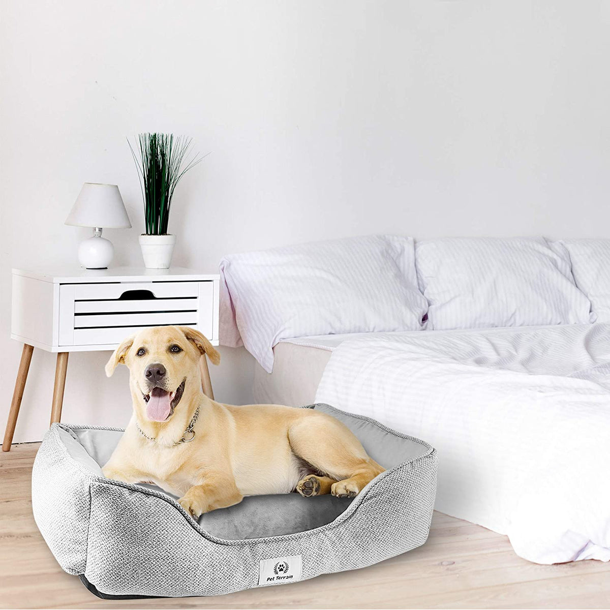 Luxury Dog Bed