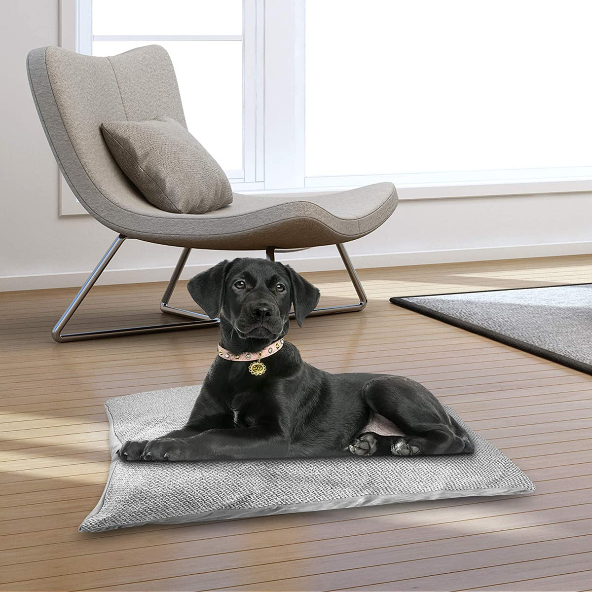 Luxury Dog Bed