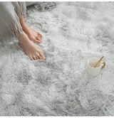 Rainlin Soft Fluffy Modern Living Room Area Rug