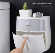 Wall-Mounted Double-Roll Toilet Paper Dispenser with Shelf