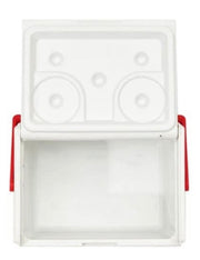 Small Insulated Cooler, 5 Quart