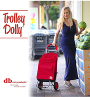 Foldable Shopping Grocery Cart