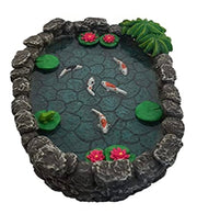 Koi Miniature Pond