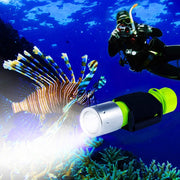 BlueFire 1100 Lumen Professional CREE XM-L2 Scuba Diving Flashlight Underwater Torch is Super Bright. It is mainly designed for the professional divers or underwater Photographer.