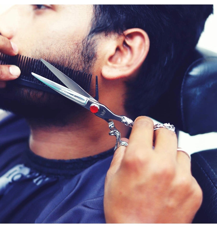 Professional Hair Cutting Shears Set