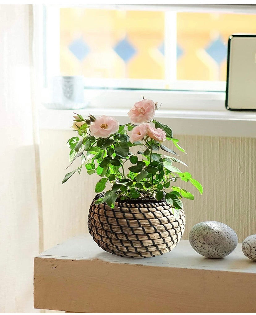 Set of 3 Round Seagrass Box Lidded Storage Bin