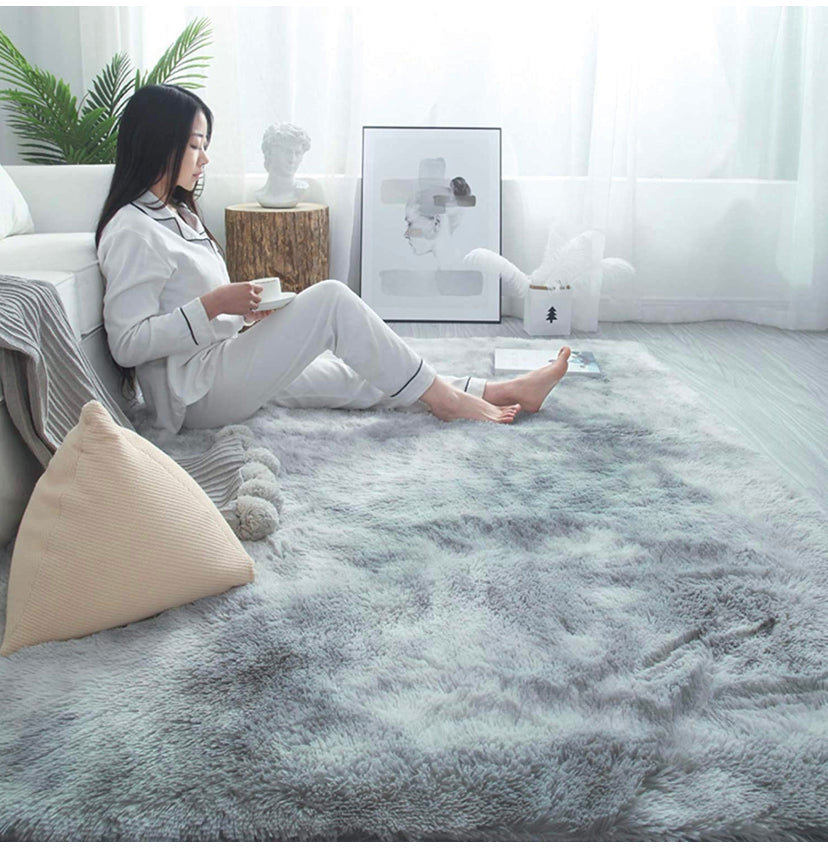 Rainlin Soft Fluffy Modern Living Room Area Rug