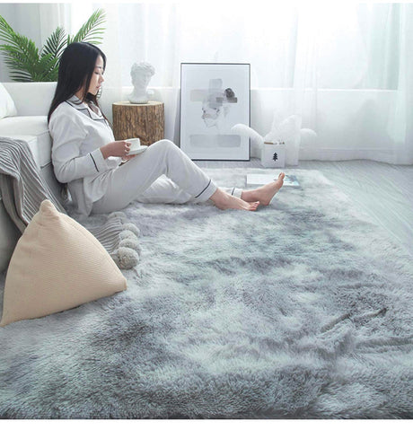 Rainlin Soft Fluffy Modern Living Room Area Rug
