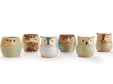 6 in Set 2.5 inch Owl Pot Ceramic Flowing Glaze Base Serial Set Succulent Plant Pot Cactus Plant Pot Flower Pot Container Planter Bonsai Pots with A Hole Perfect Gife Idea