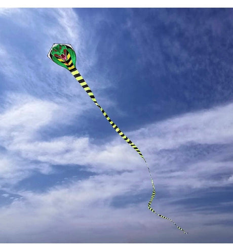 Cobra Kite for Kids Adults Large by Mint's Colorful Life