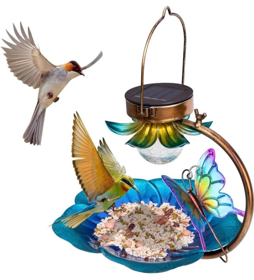 Solar Bird Feeder