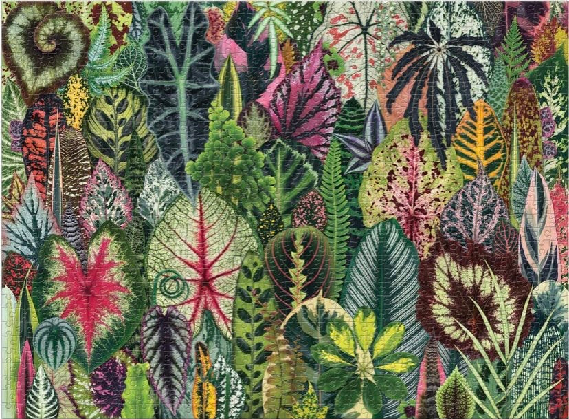 Houseplant Jungle 1000 Piece Puzzle