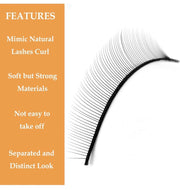 Self-Adhesive Practice Lash Strips – 20 Pairs
