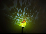 Outdoor Garden Solar Lights