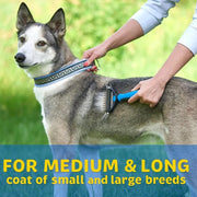 Double-Sided Pet Undercoat & Dematting Rake – Blue or Pink