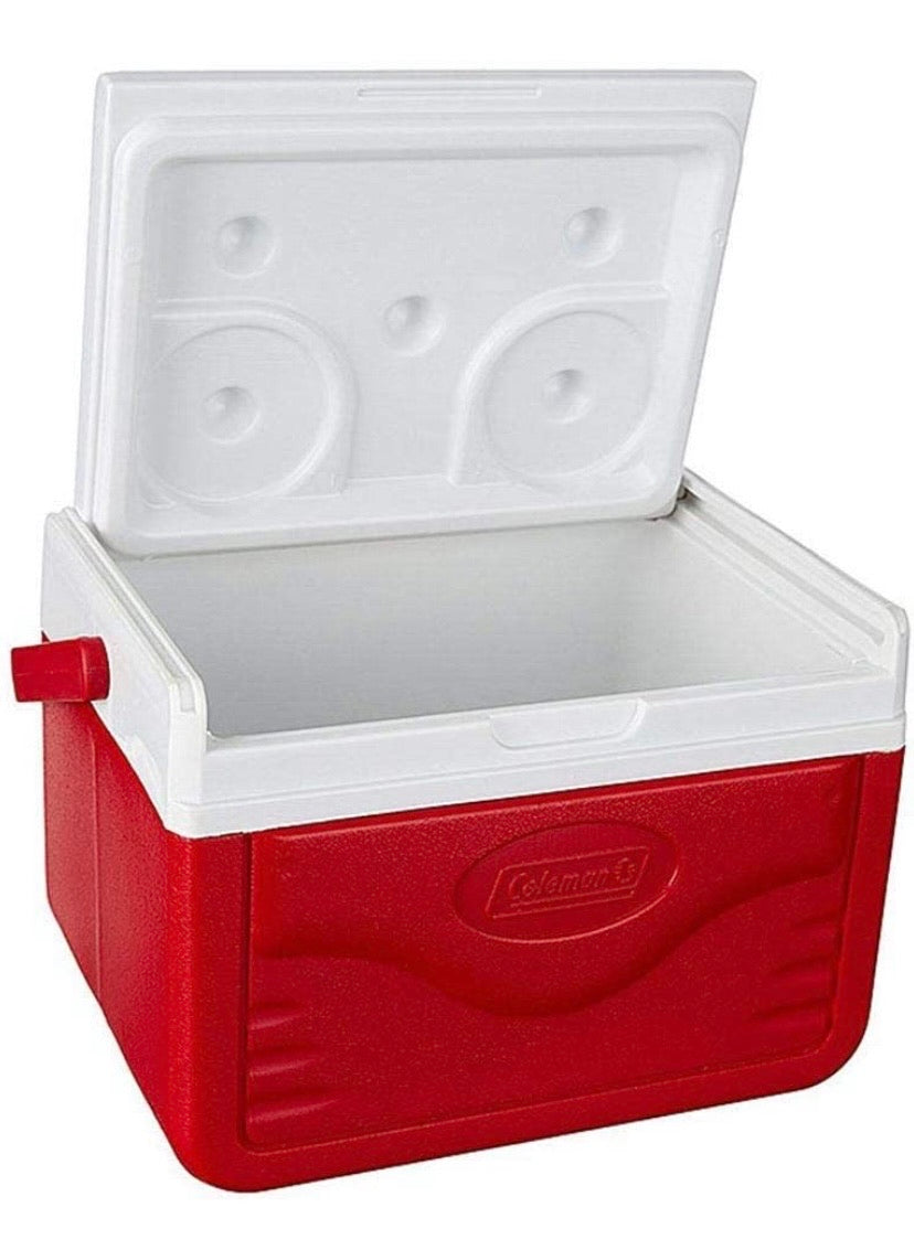 Small Insulated Cooler, 5 Quart