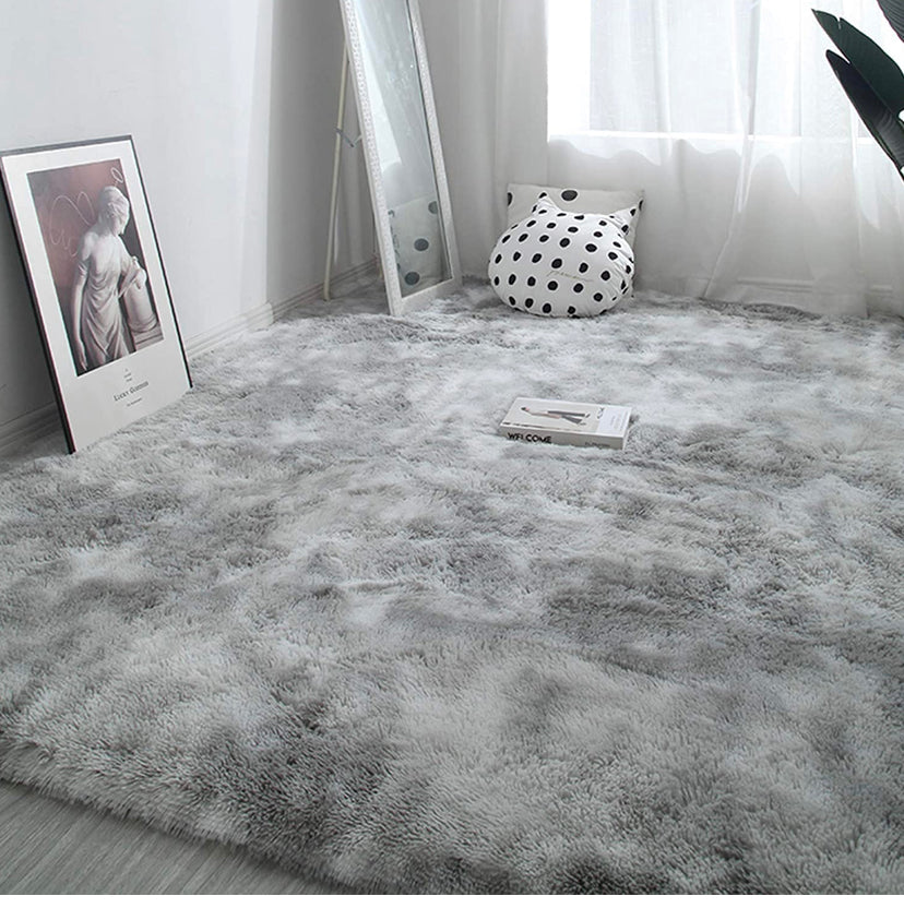 Rainlin Soft Fluffy Modern Living Room Area Rug