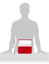 Small Insulated Cooler, 5 Quart