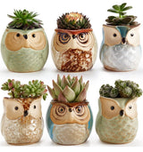 6 in Set 2.5 inch Owl Pot Ceramic Flowing Glaze Base Serial Set Succulent Plant Pot Cactus Plant Pot Flower Pot Container Planter Bonsai Pots with A Hole Perfect Gife Idea