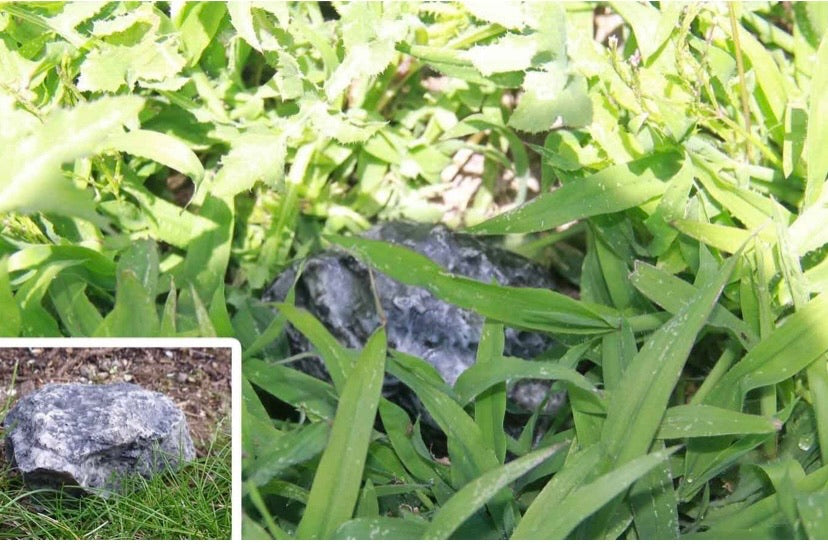 Ram-Pro Hide-a-Spare-Key Fake Rock