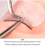 LANKIZ Practice Lashes for Training Eyelash Extensions Supplies Training Lash Strips self adhesive lashes For Teaching 20 Pairs