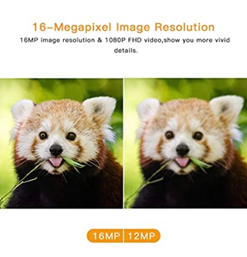 Trail Camera