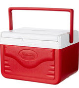 Small Insulated Cooler, 5 Quart