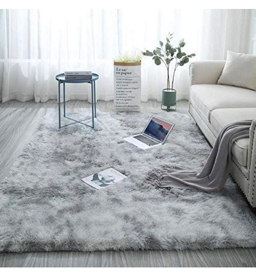 Rainlin Soft Fluffy Modern Living Room Area Rug