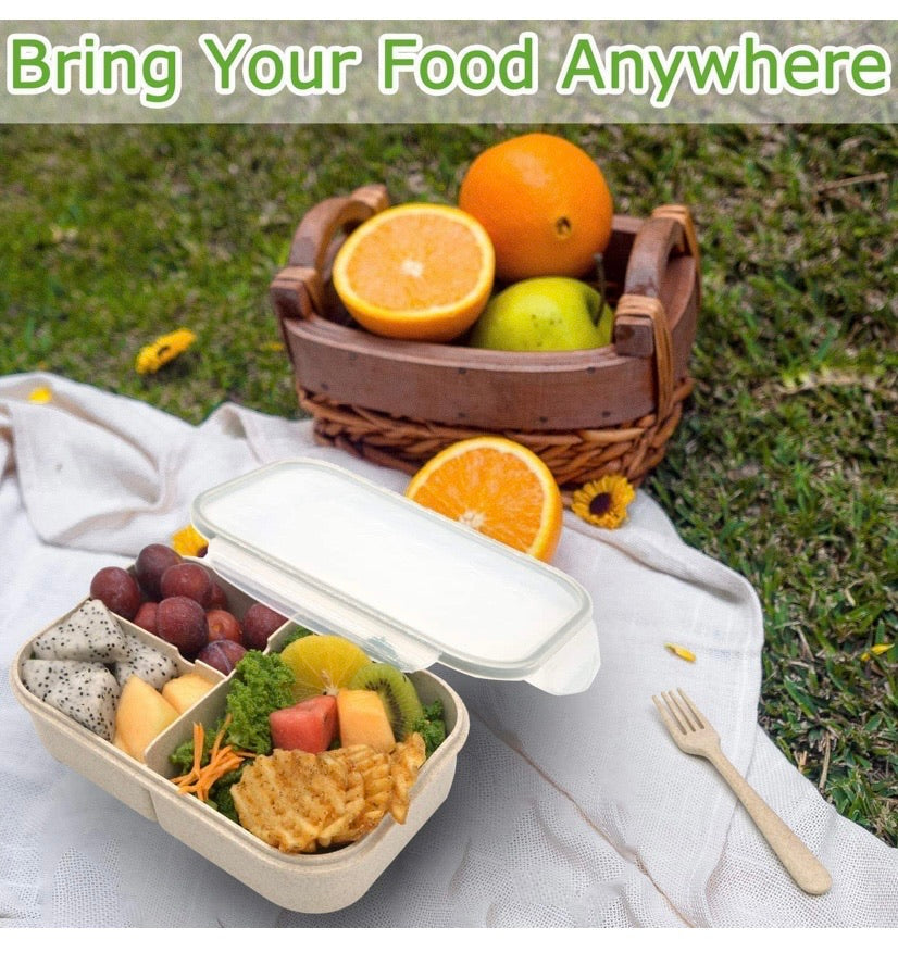 Lunch Box