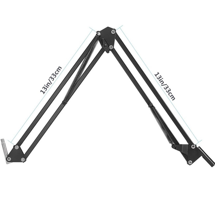 Neewer Professional Recording Microphone